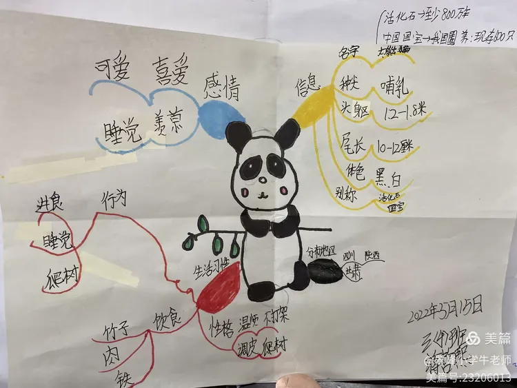 习作"国宝大熊猫",思维导图